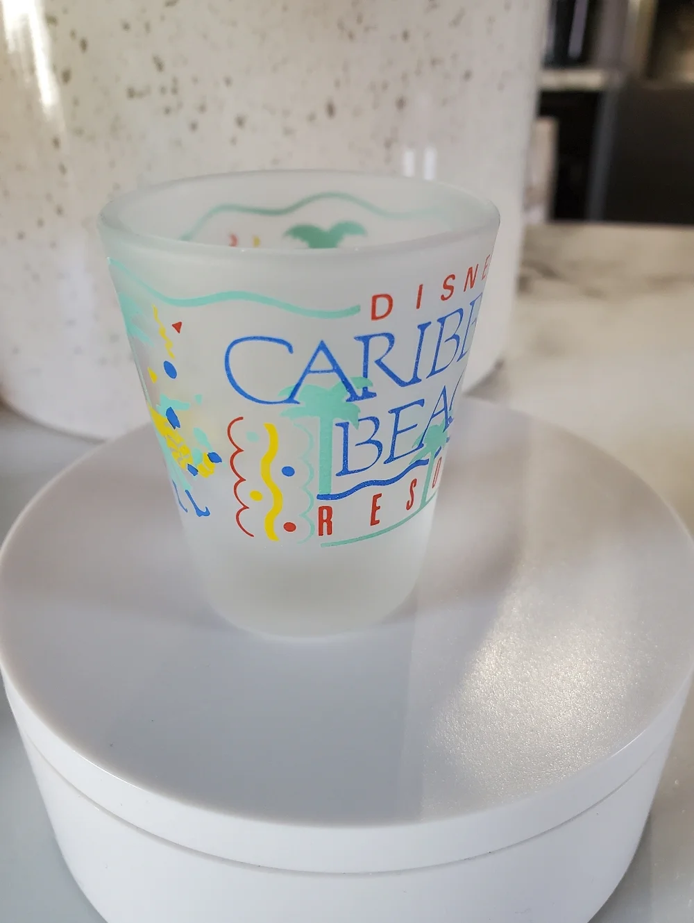 Vintage Disney World Caribbean Beach Resort Frosted Shot Glass